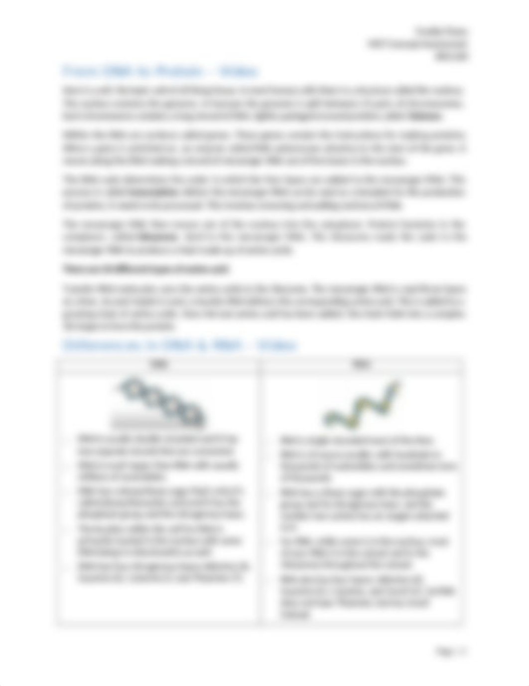 M07 Concept Assessment - Structure of DNA.docx_dlxsg5ym50o_page3