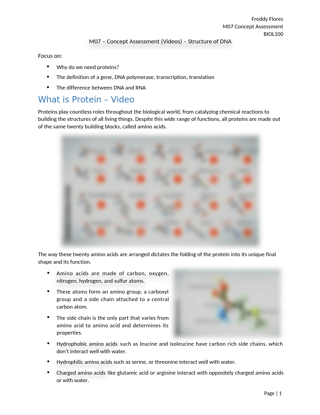 M07 Concept Assessment - Structure of DNA.docx_dlxsg5ym50o_page1