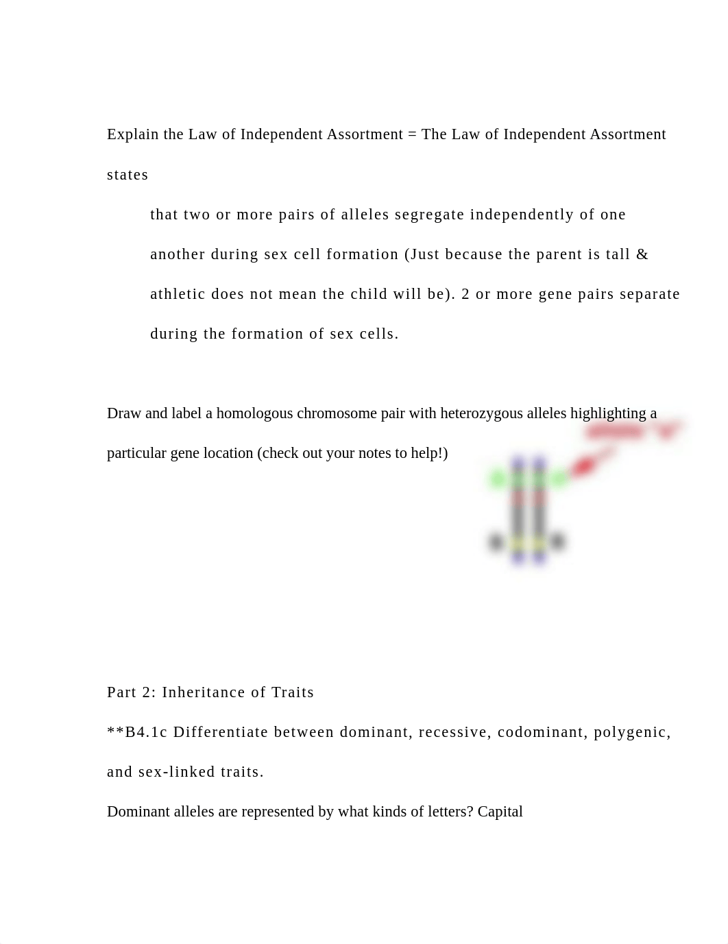 Law of Independent Assortment Notes_dlxx24bflys_page1