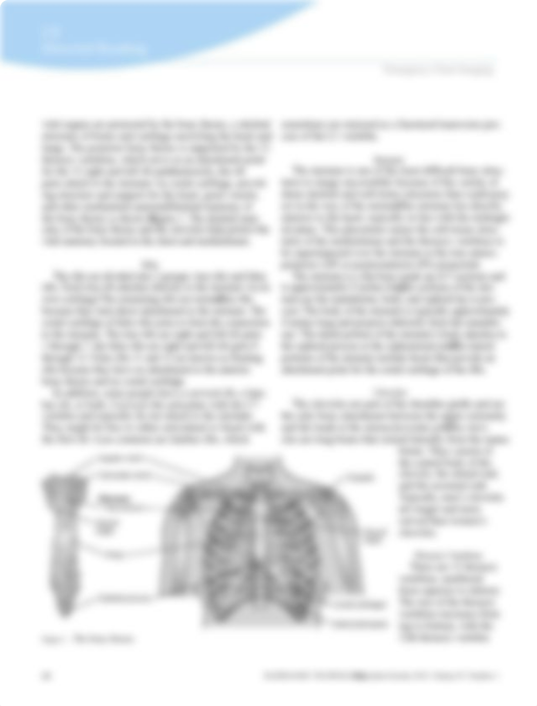 Emergency Chest Imaging.pdf_dly6ed7pmhc_page2