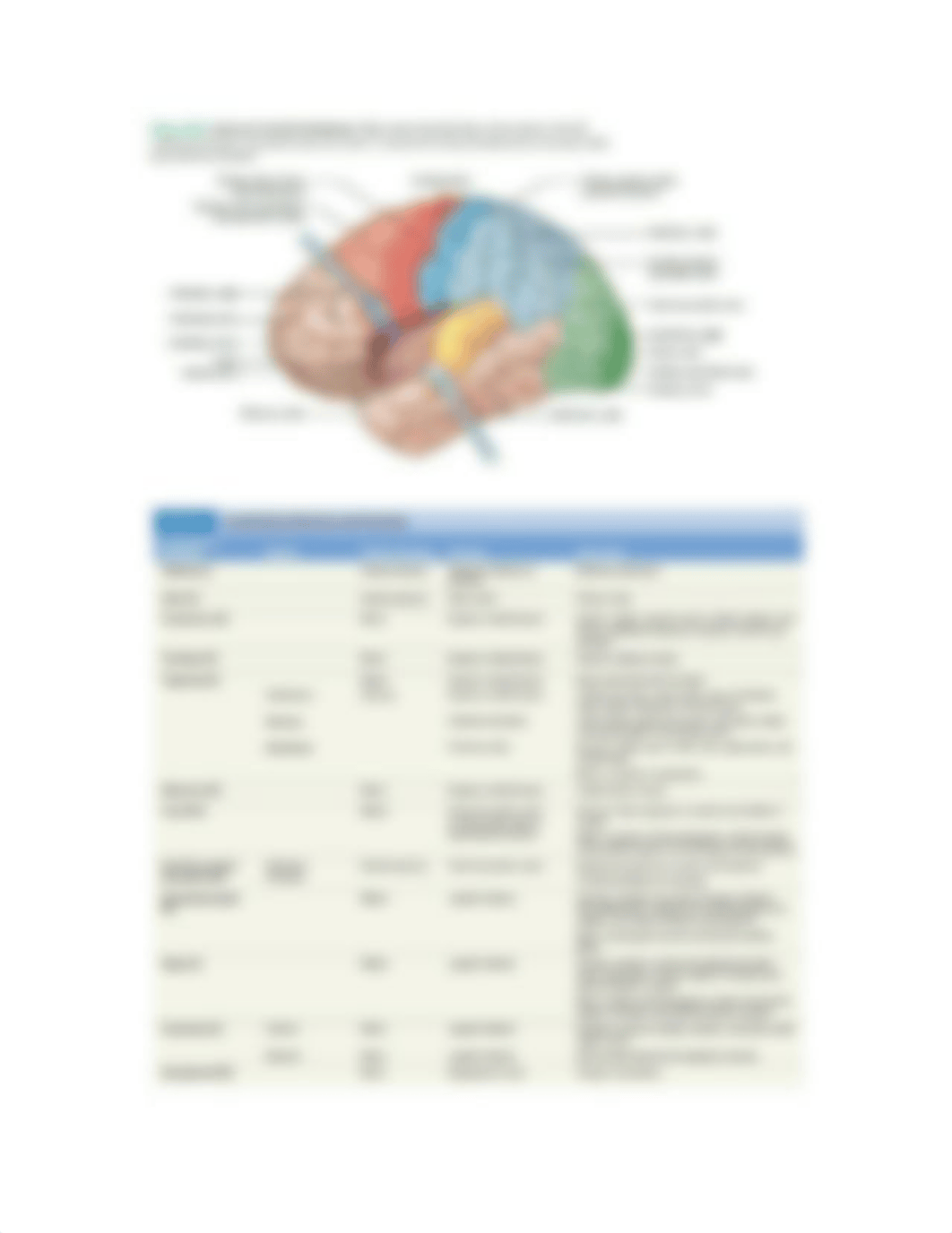 152 LAB EXAM 1 REVIEW GUIDE.docx_dly77d3owkb_page2