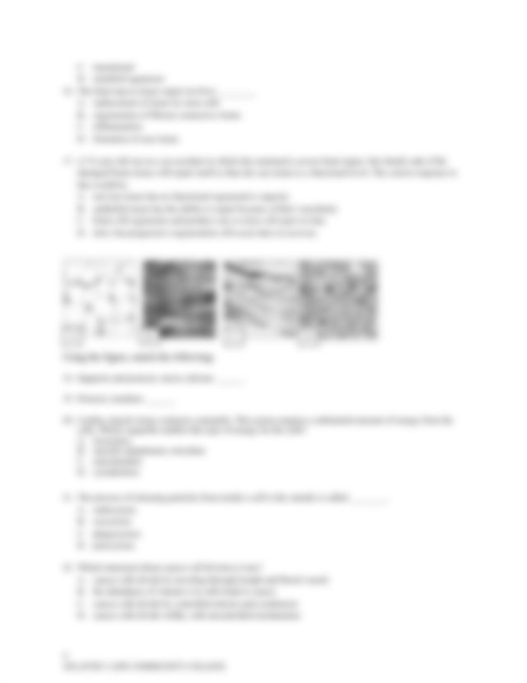 AP EXAM 2 - A.docx_dly8tk8bdyg_page4