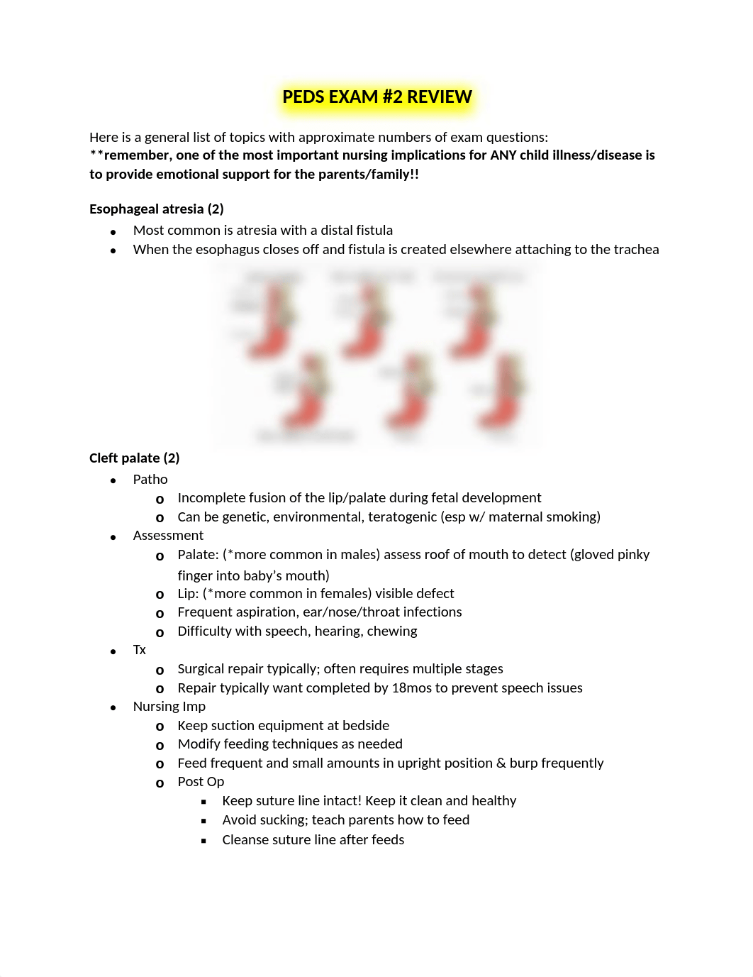 Peds Exam #2 Review.docx_dlyccjlhlxi_page1