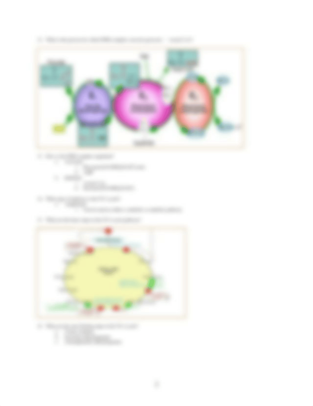 Biochem Citric Acid Cycle_dlydxum2klf_page2