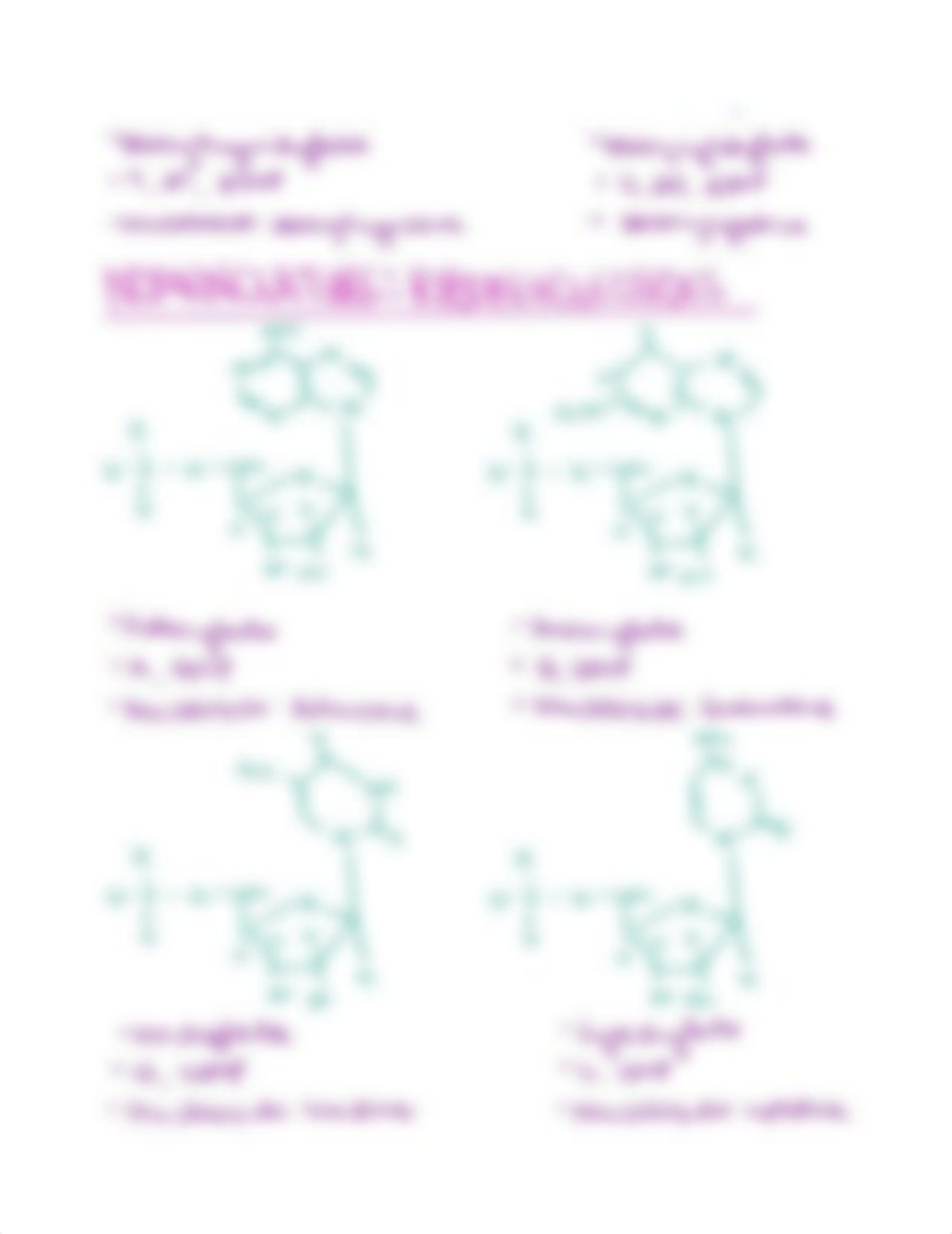 ISF Final Exam Review.pdf_dlykkwikkdv_page4