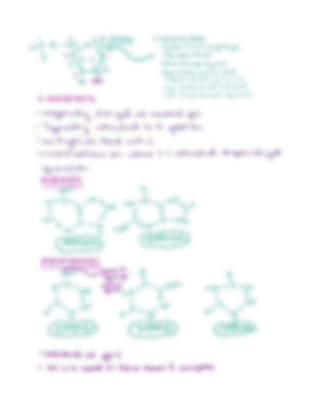 ISF Final Exam Review.pdf_dlykkwikkdv_page2