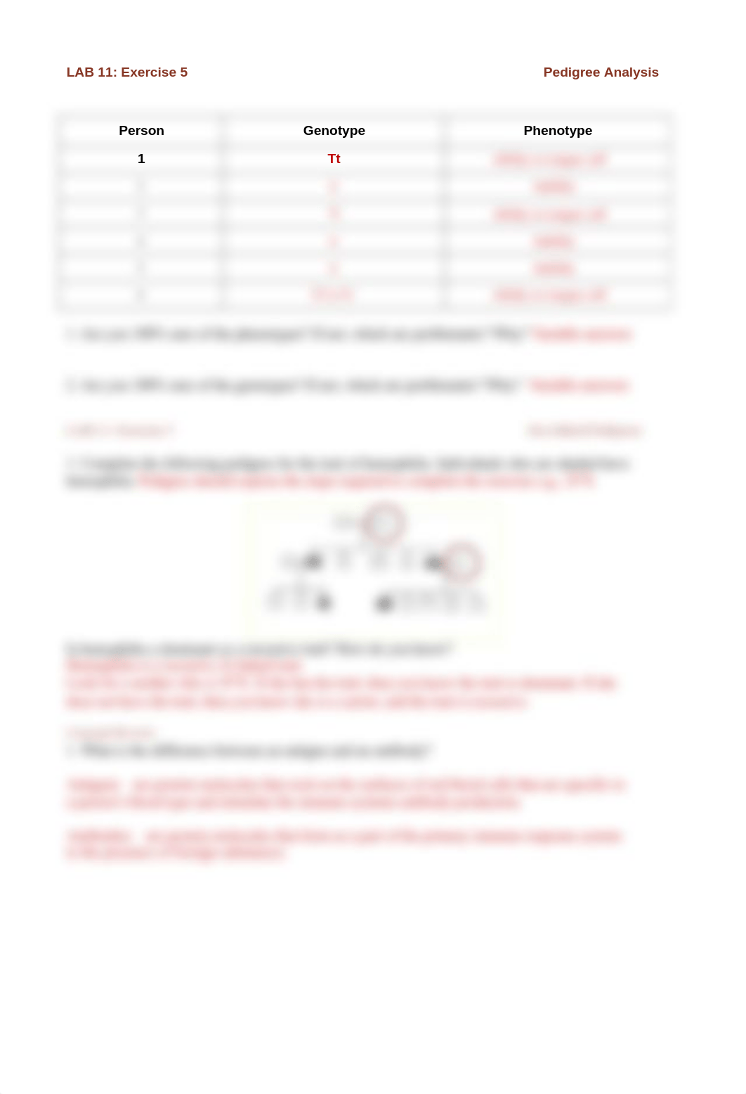 Unit 2 Lab 11 Answers.pdf_dlyq8eiomfr_page2