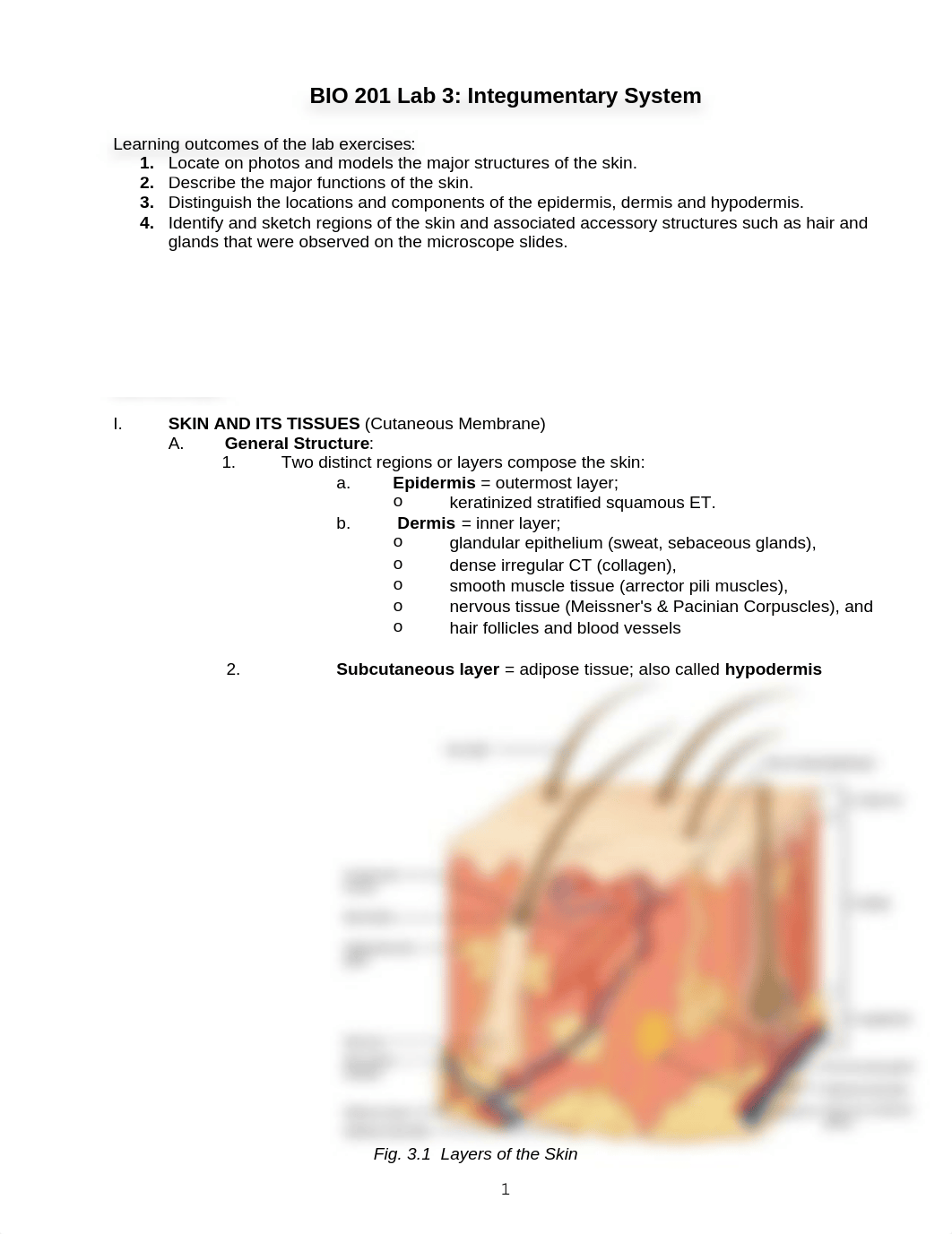 AP1-Lab3-Integumentary-FA2020.docx_dlyuhi961yj_page1