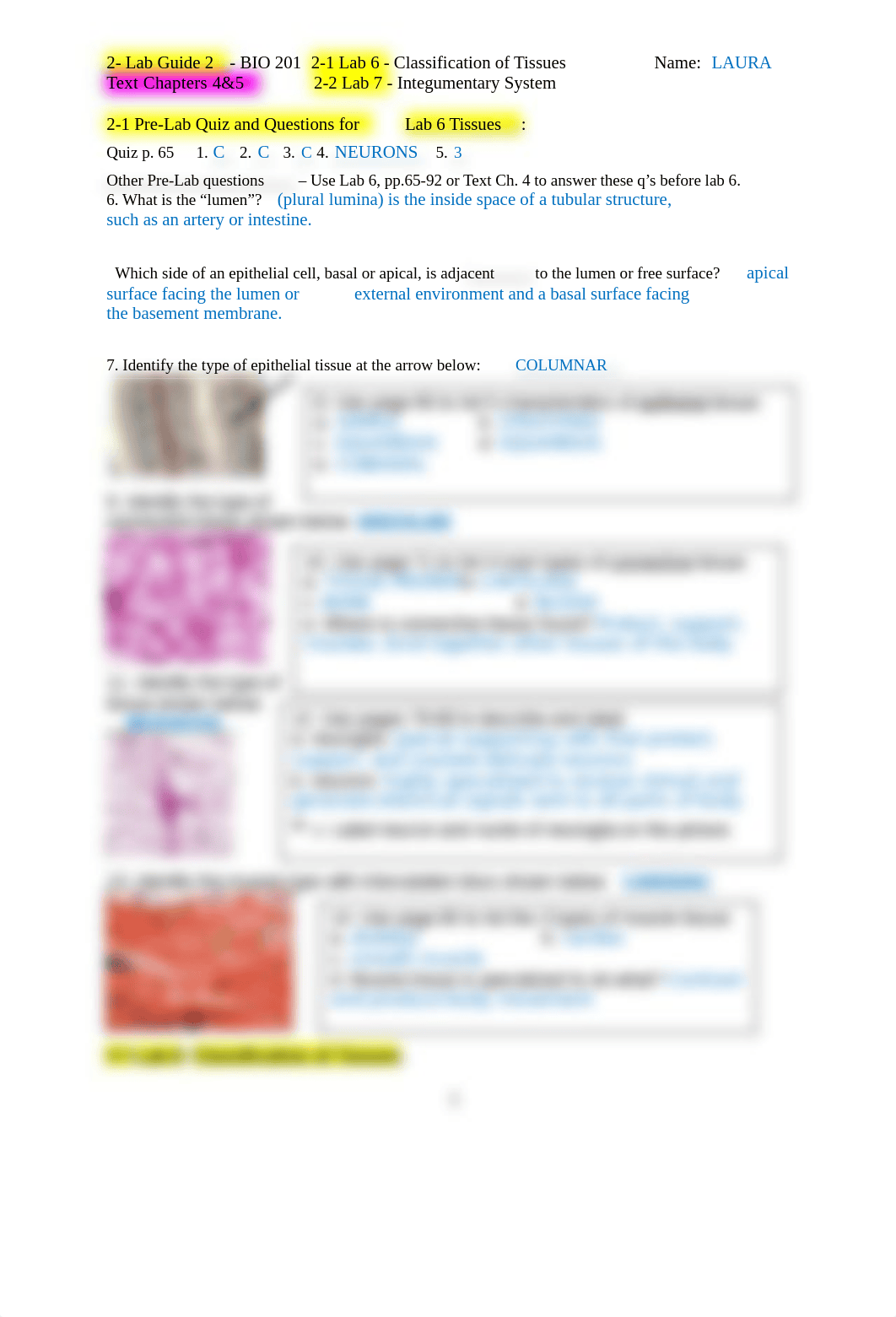 2 Ch.4-5 Online Guide 2 -Labs 6&7 Tissues&Integ (1) (1).docx_dlzcd3e93j9_page1