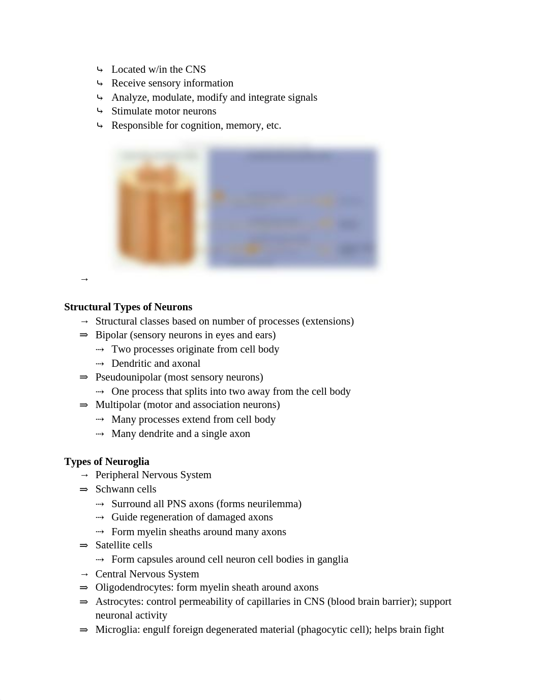 HP: Chapter 4 (Exam 1)_dlzd3sifg3i_page2