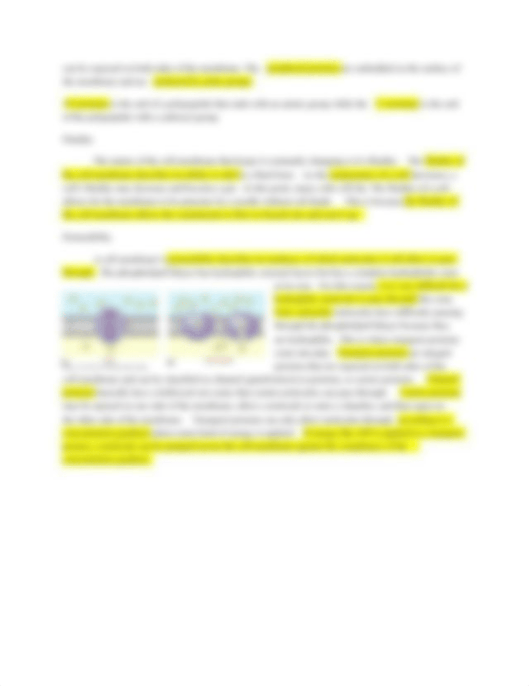 9.26.11..Animal Cells.Plant Cells.Cell Membrane.docx_dlzhxm7yrat_page2