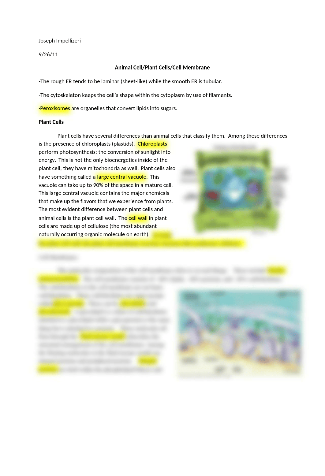 9.26.11..Animal Cells.Plant Cells.Cell Membrane.docx_dlzhxm7yrat_page1