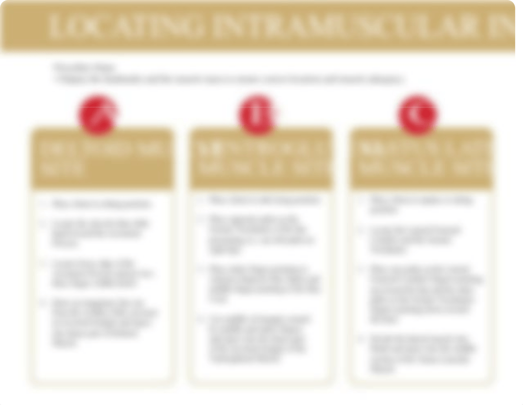 Intramuscular Injection Sites.pdf_dlznz6s57ll_page2