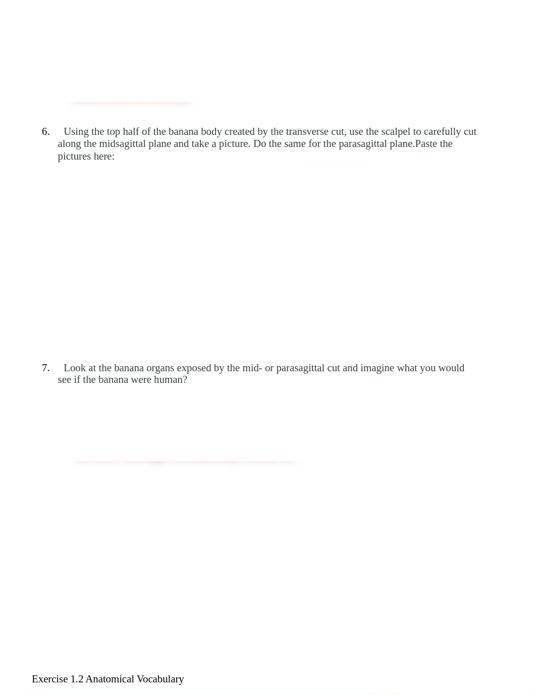 BI241 Lab 1 Parts of the Body and Microscopes.docx_dlzpv8k59av_page2