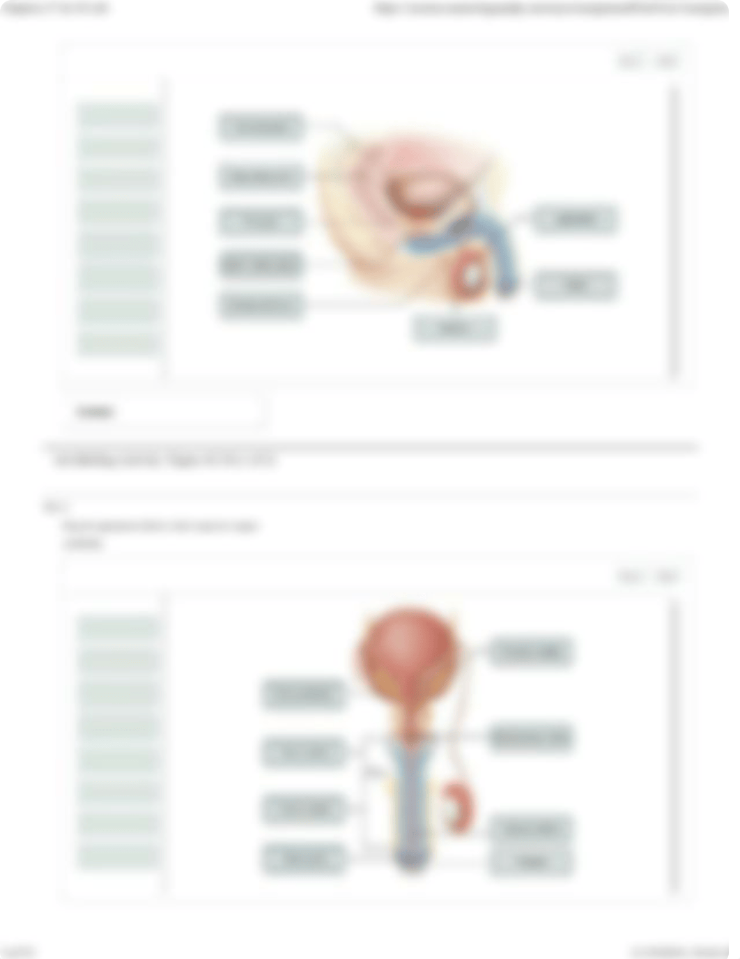 Lab 27&28.pdf_dlztbkyombv_page5