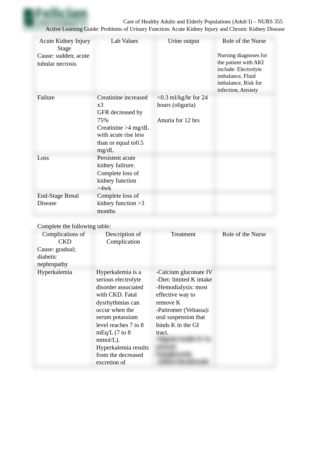 Active Learning Guide - Problems of Urinary Function - Acute Kidney Injury and Chronic Kidney Diseas_dlzyeqe2zk3_page2