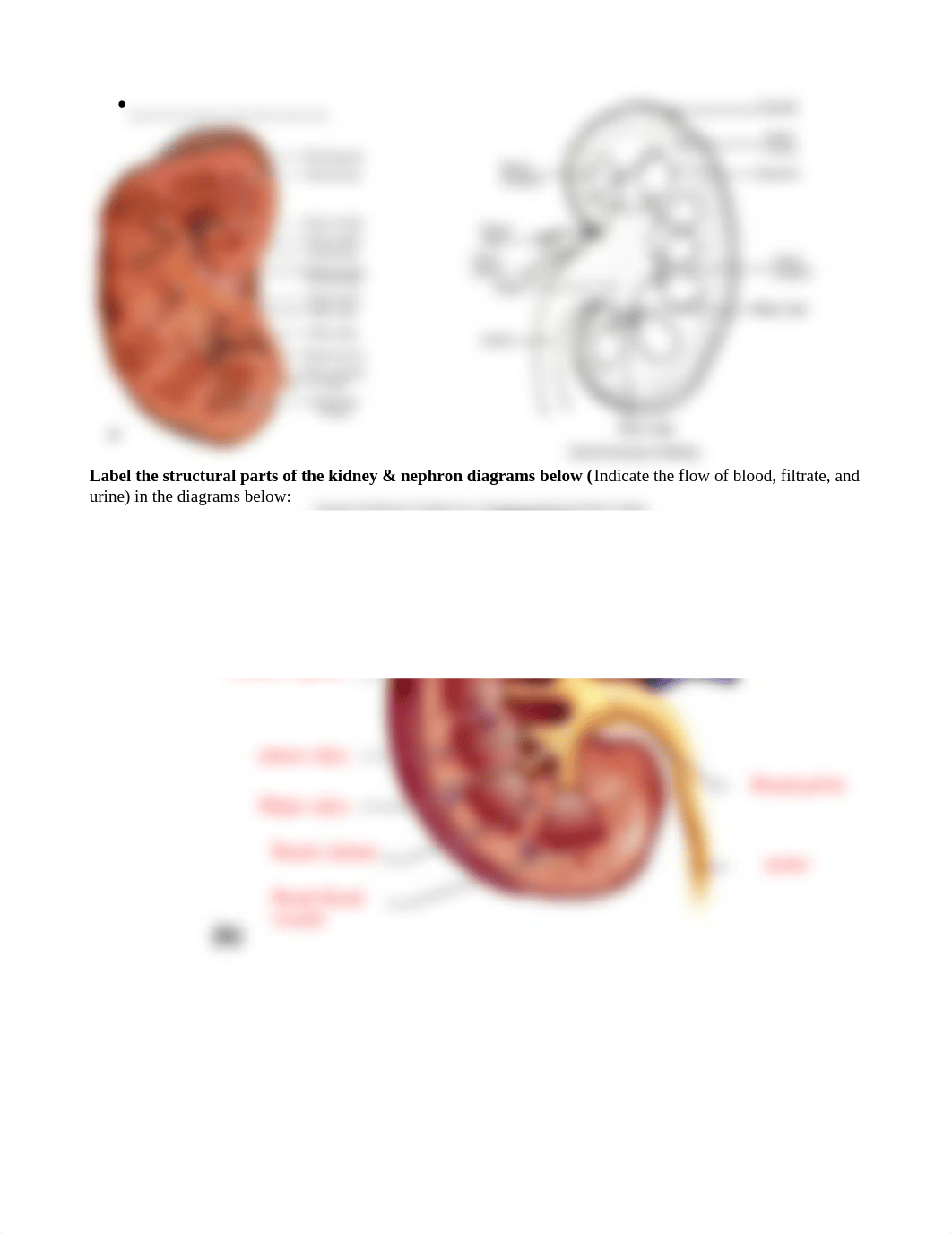 Lab 10.pdf_dm03wk9k2ur_page2