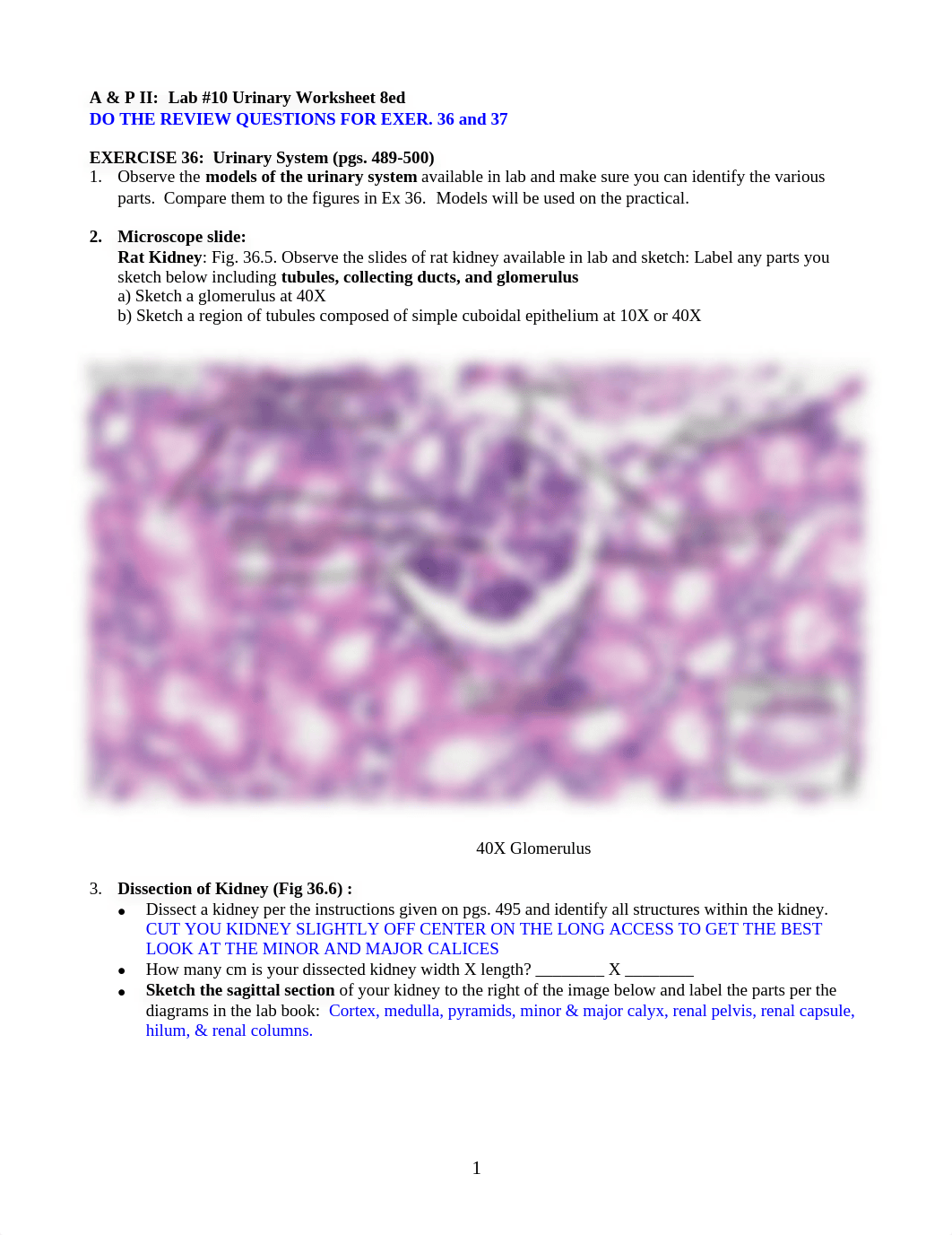 Lab 10.pdf_dm03wk9k2ur_page1