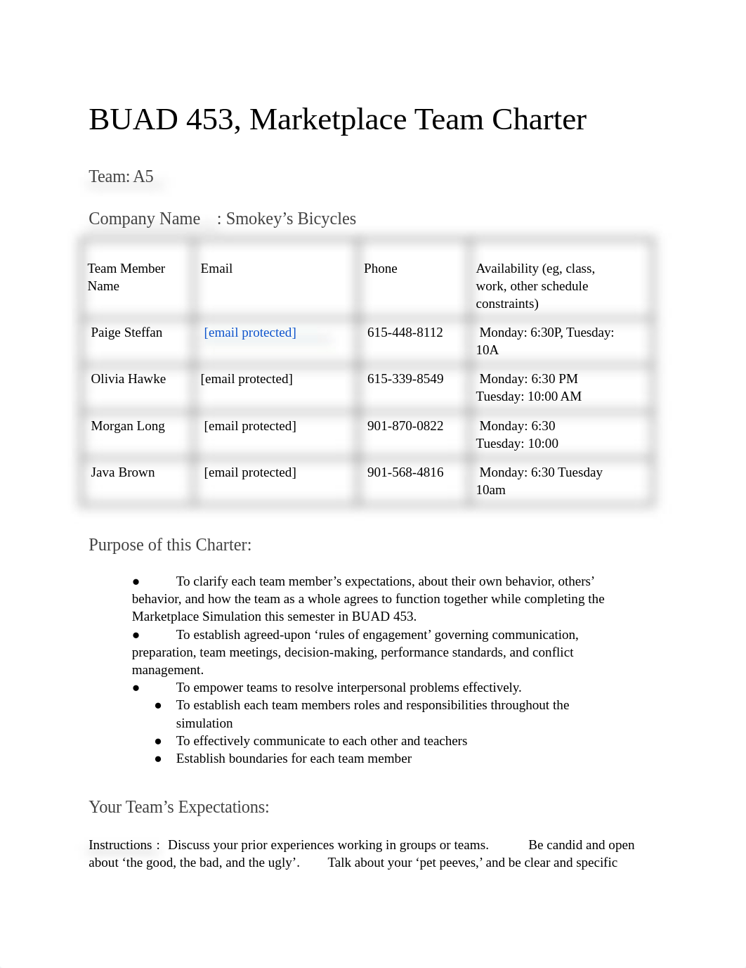 BUAD 453, Marketplace Team Charter.docx_dm04ikvyr0c_page1