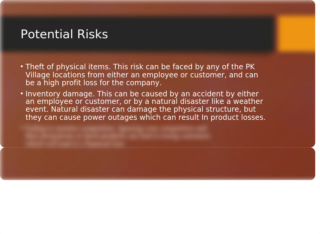 Operational Risk Assesment PK village.pptx_dm052f9s0gv_page3