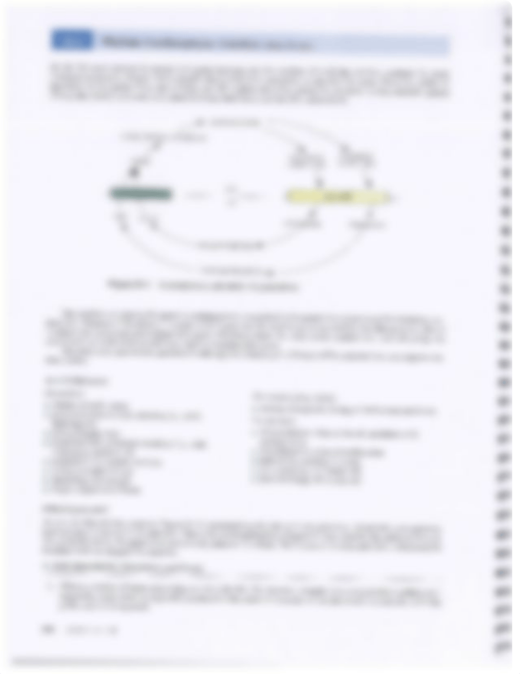 Lab 24 - Gymnosperms_dm0dugx35ir_page2