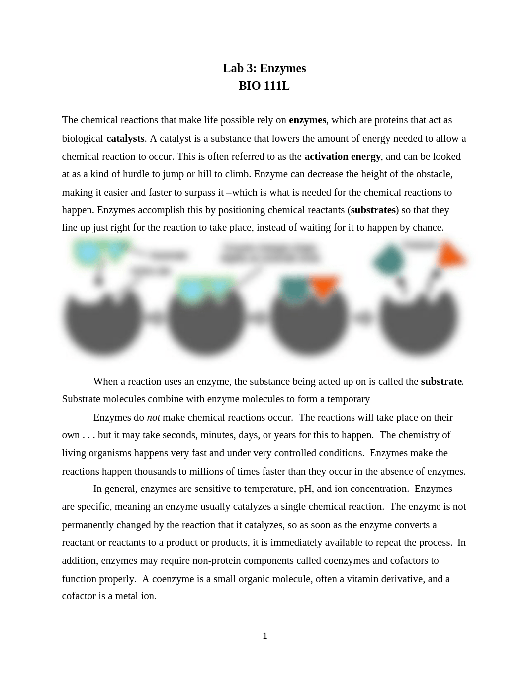 ONLINE BIO111 Lab 3.pdf_dm0exep6duk_page1