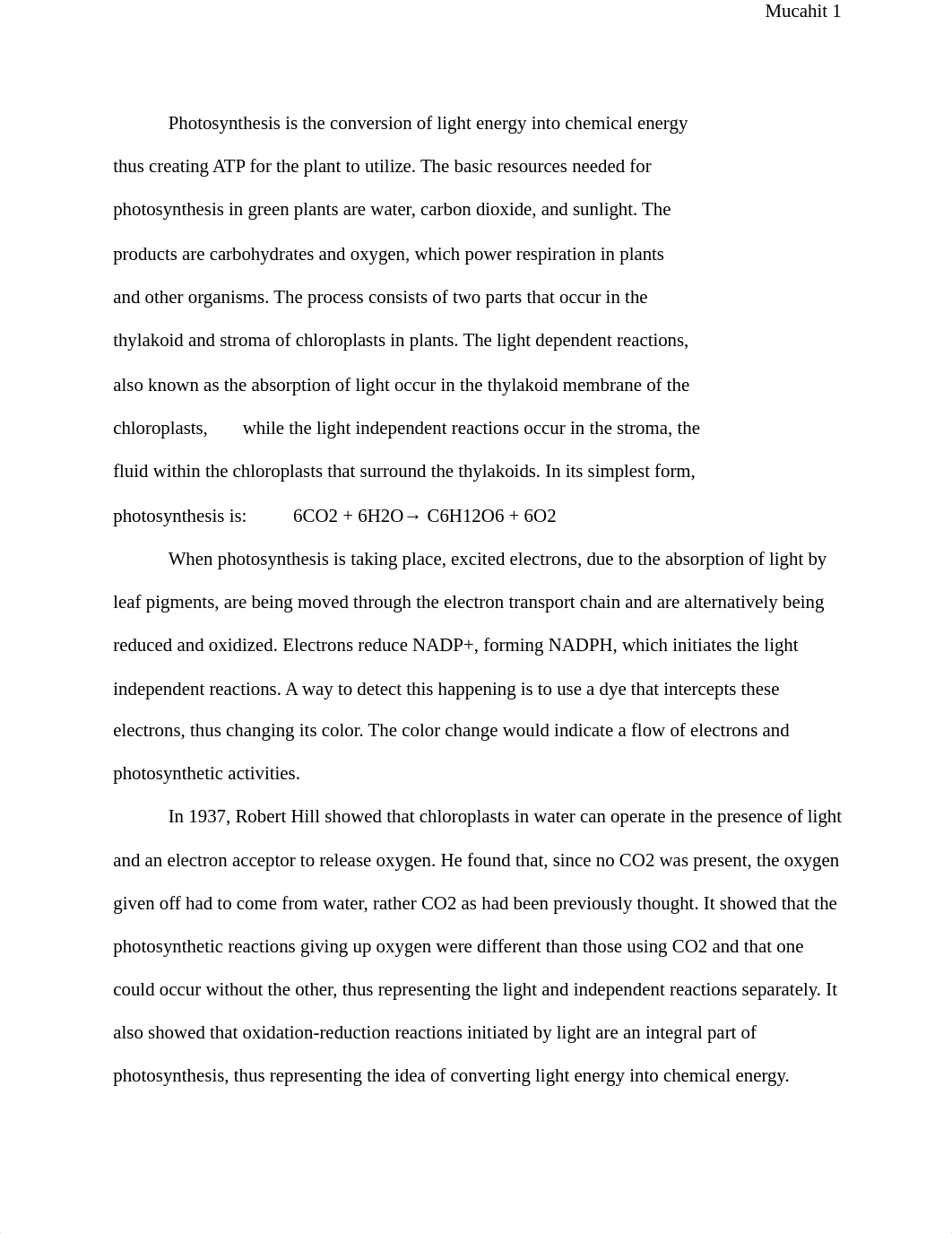 photosynthesis.docx_dm0il1kasj2_page2