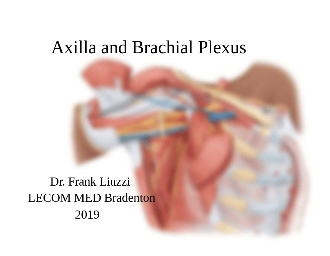 Axilla and Brachial Plexus 2019.pdf_dm0pyax6wmn_page1