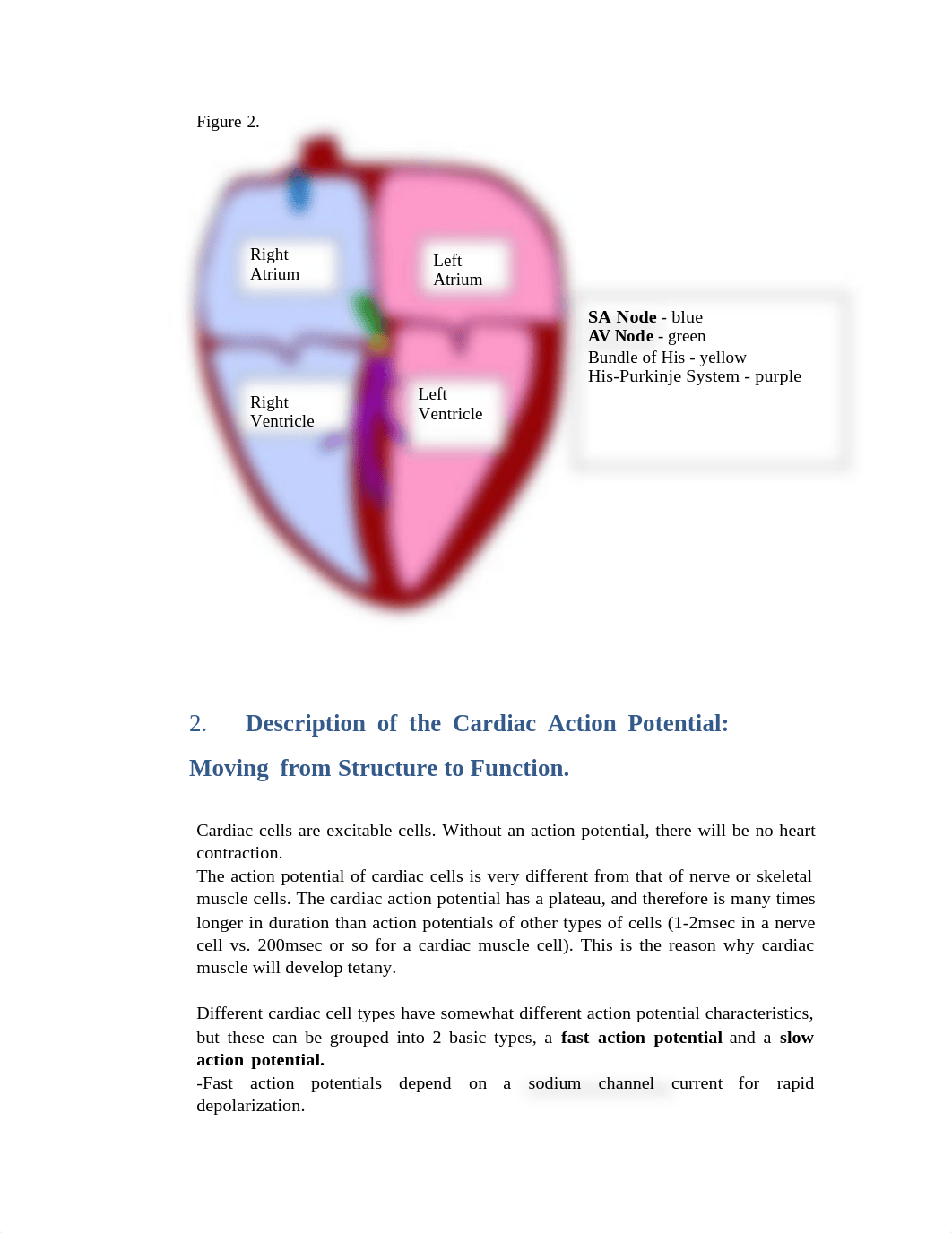 042319 1000 After Reading for Principles of ECG part I.docx_dm0s45he9h2_page2