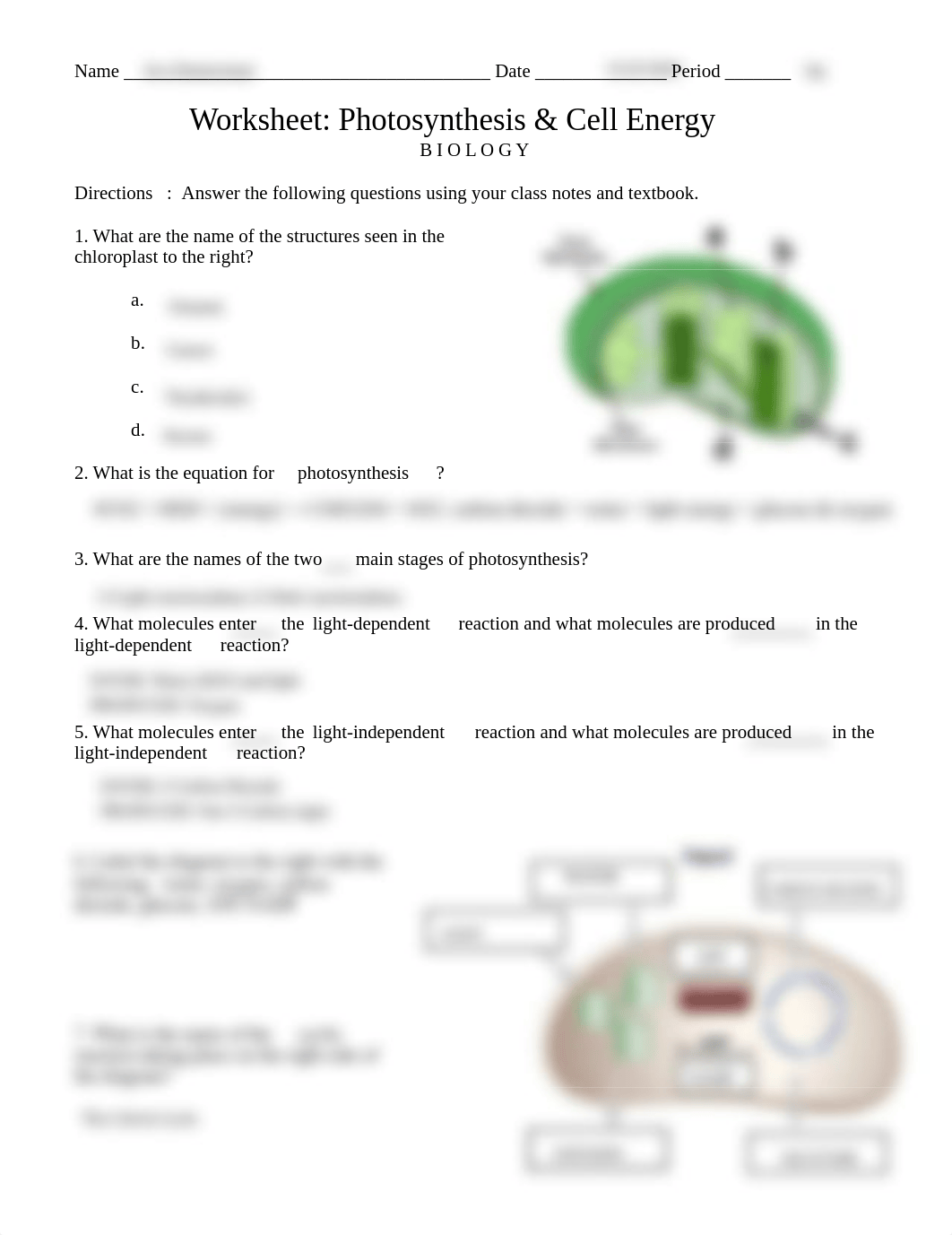 Ava_Zimmerman_-_PHOTOSYNTHESIS.WORKSHEET.pdf_dm0u1vt3ogm_page1