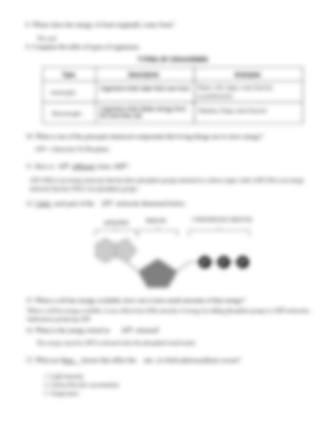 Ava_Zimmerman_-_PHOTOSYNTHESIS.WORKSHEET.pdf_dm0u1vt3ogm_page2