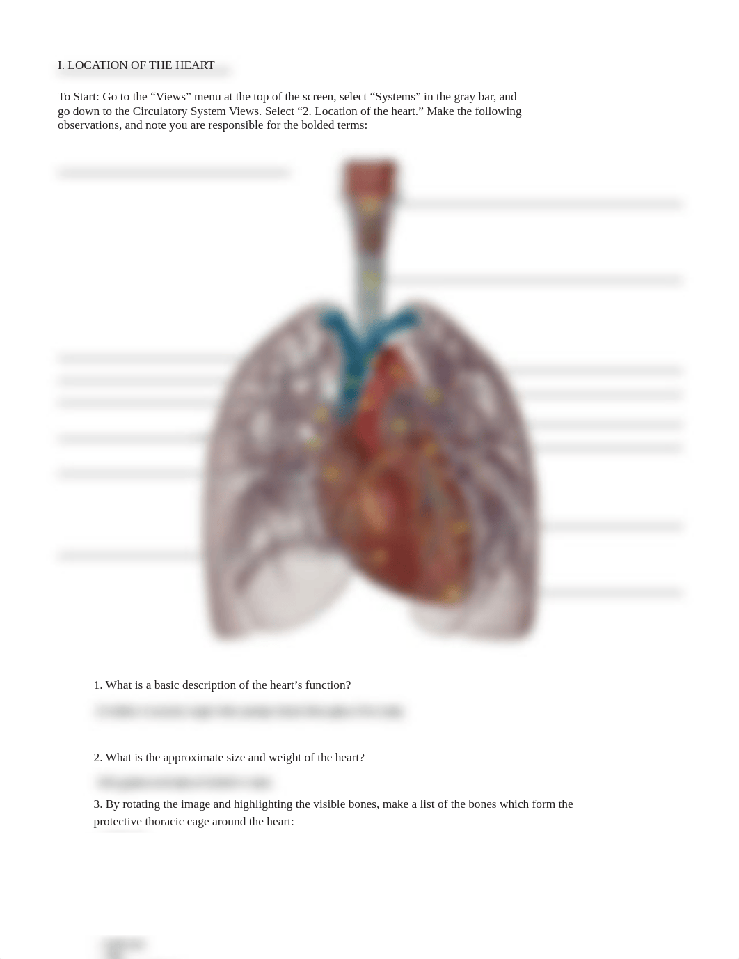 Human Heart lab manual_human heart_atlas (7).pdf_dm0yv4rzaua_page3