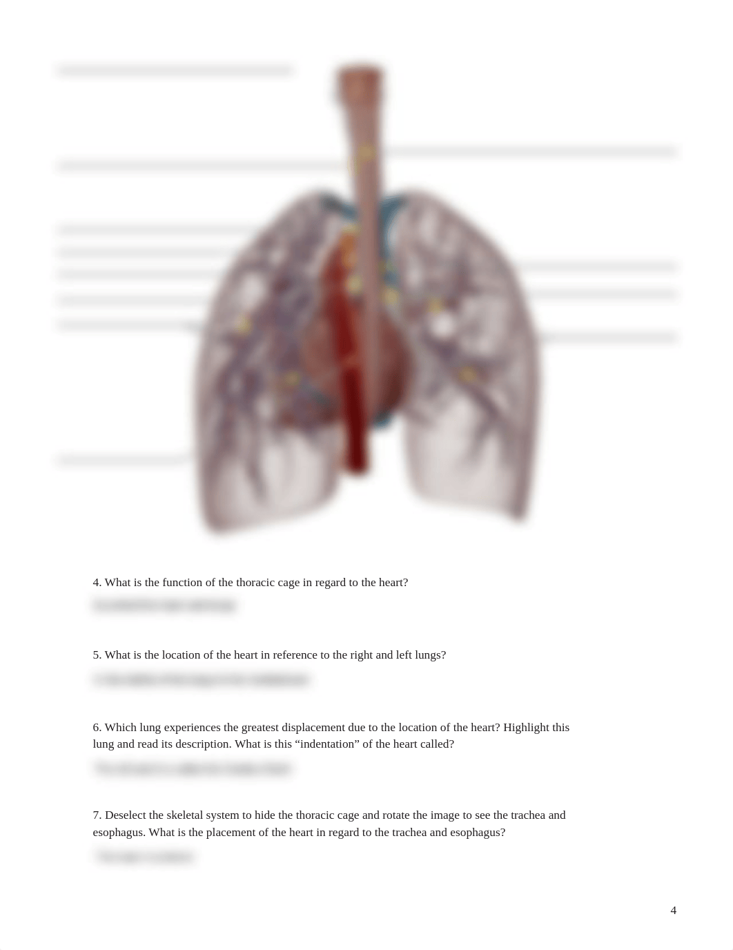 Human Heart lab manual_human heart_atlas (7).pdf_dm0yv4rzaua_page4