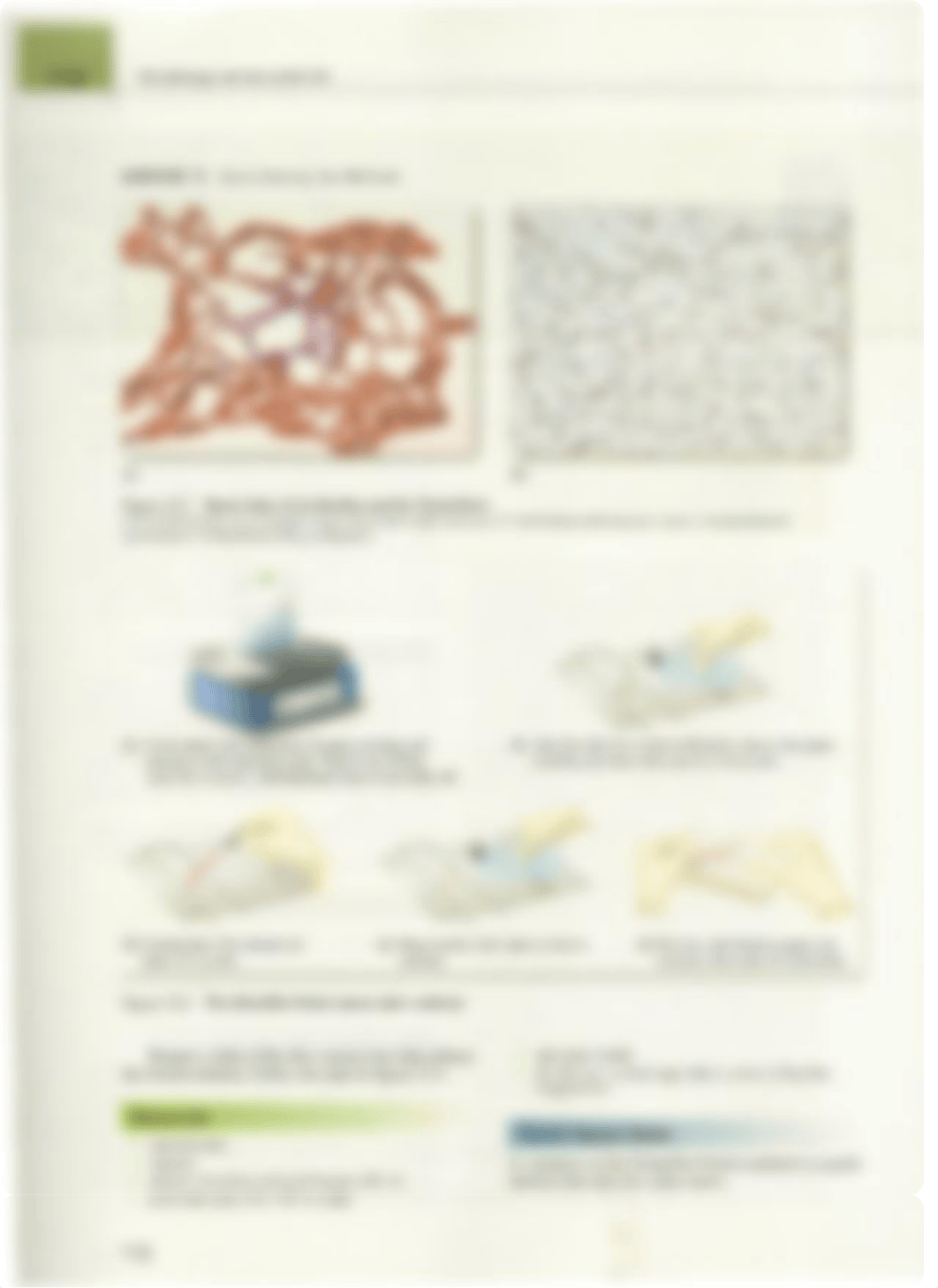 Benson Lab Chapter 15 Spore Staining.pdf_dm1cp5234wj_page2