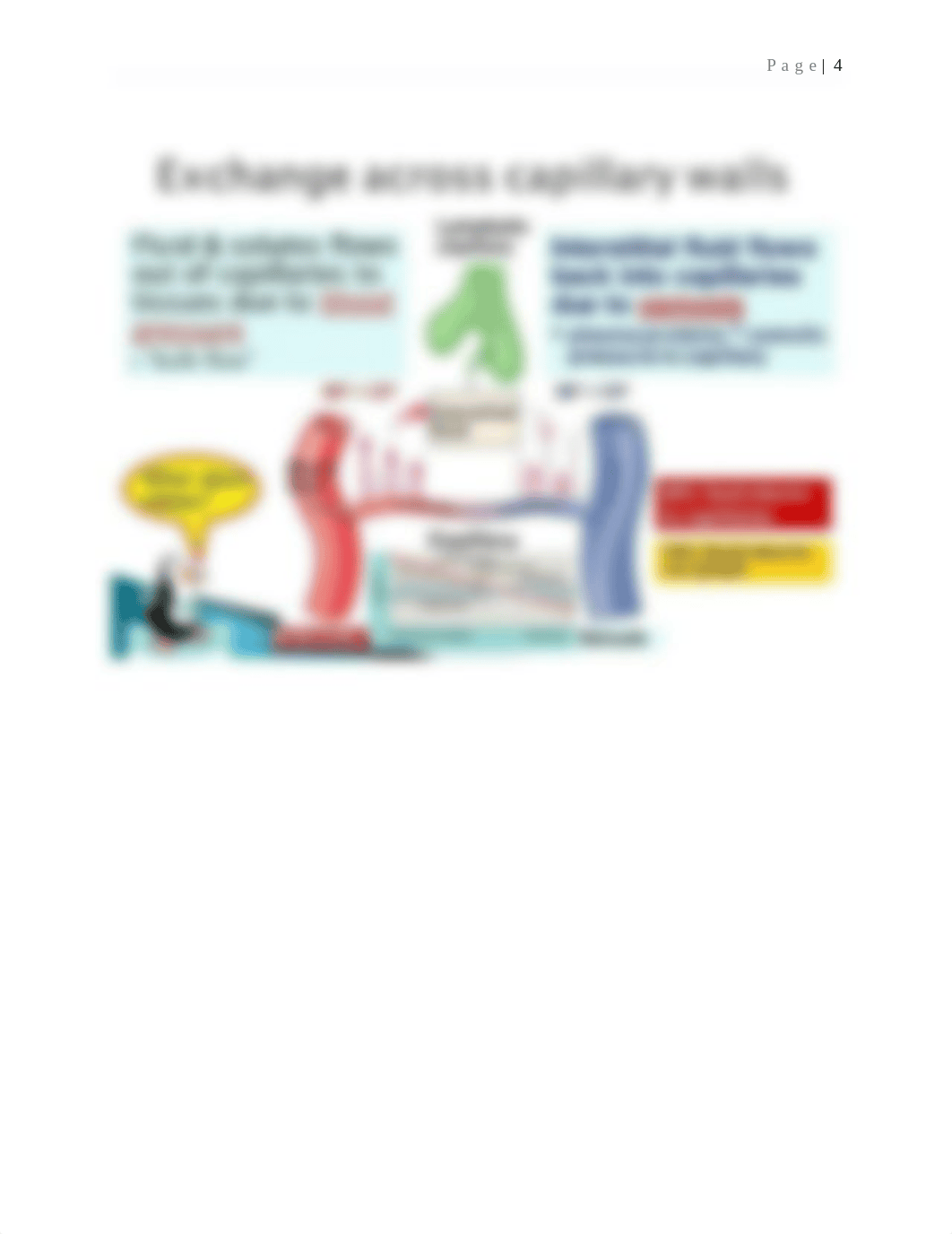 Pathophysiology Lecture for kidneys2.docx_dm1il2od1tx_page4