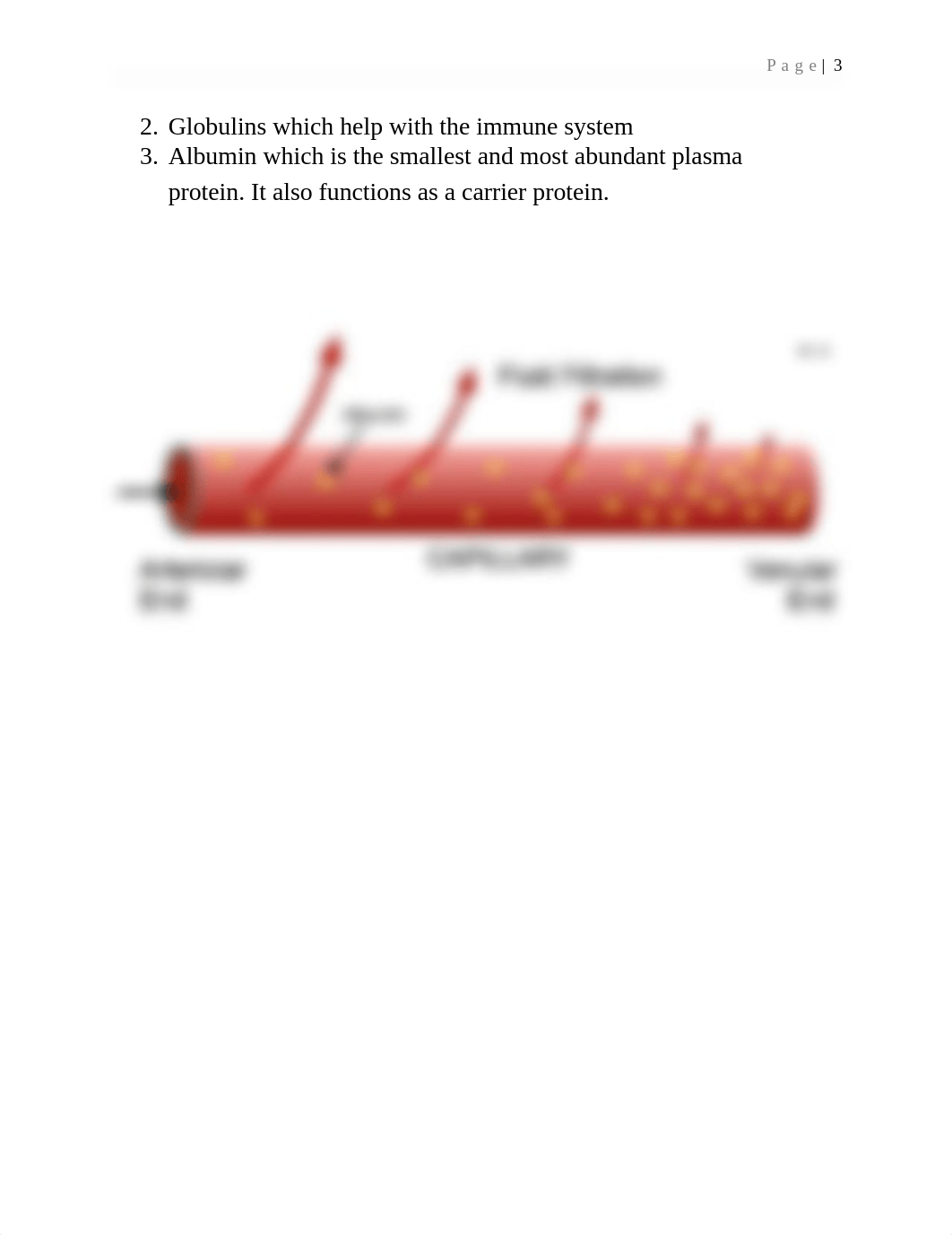 Pathophysiology Lecture for kidneys2.docx_dm1il2od1tx_page3