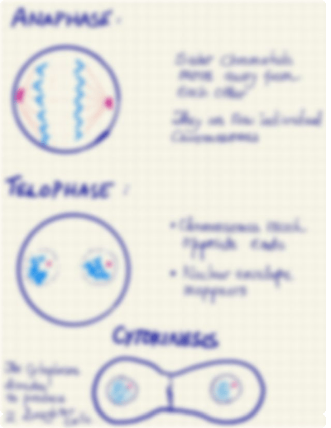 BIO 23 midterm Lab Exam Sketchnotes.pdf_dm1mrjbzneq_page3