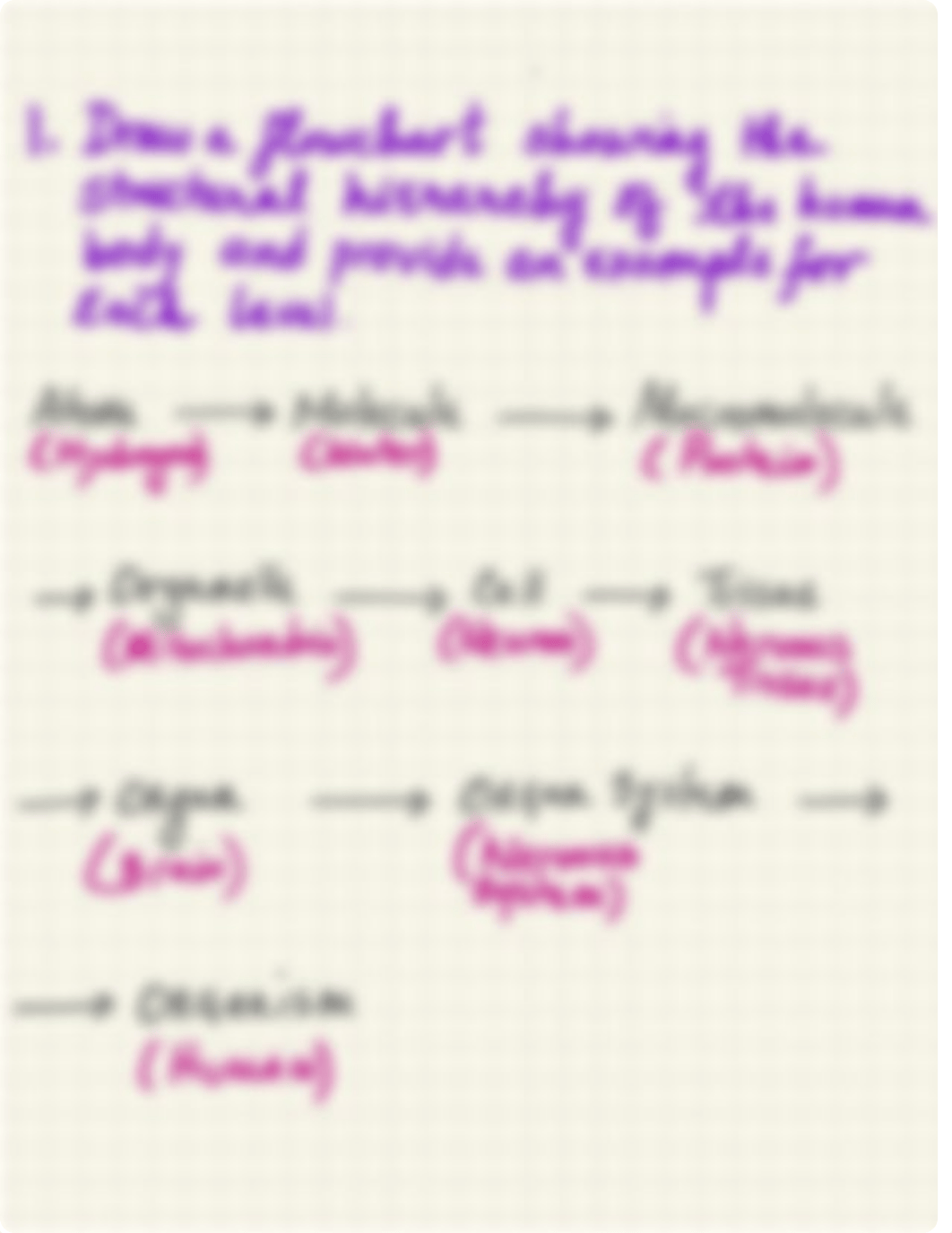 BIO 23 midterm Lab Exam Sketchnotes.pdf_dm1mrjbzneq_page1