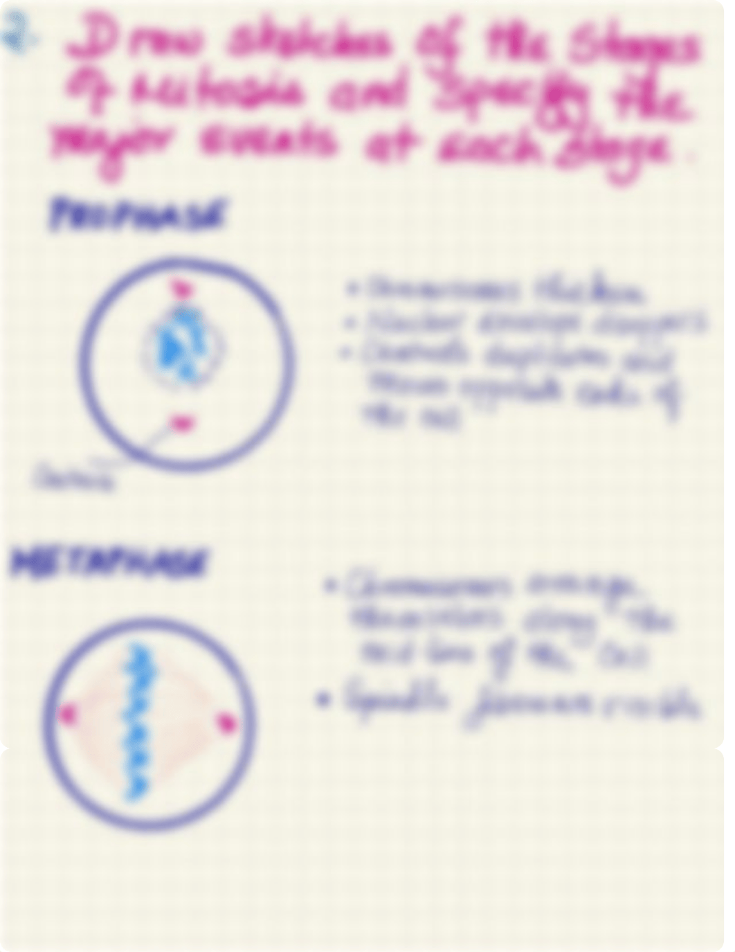 BIO 23 midterm Lab Exam Sketchnotes.pdf_dm1mrjbzneq_page2