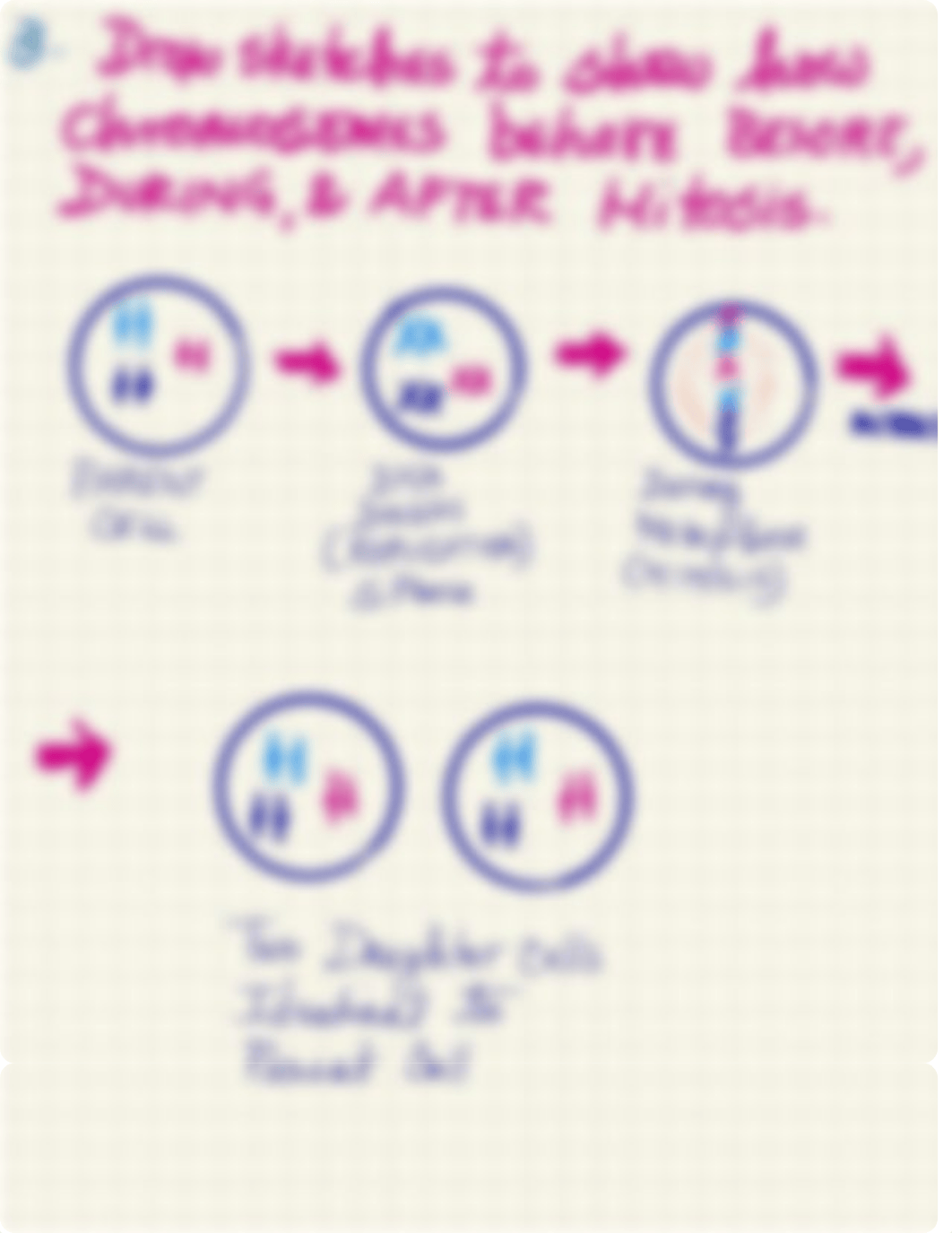 BIO 23 midterm Lab Exam Sketchnotes.pdf_dm1mrjbzneq_page4