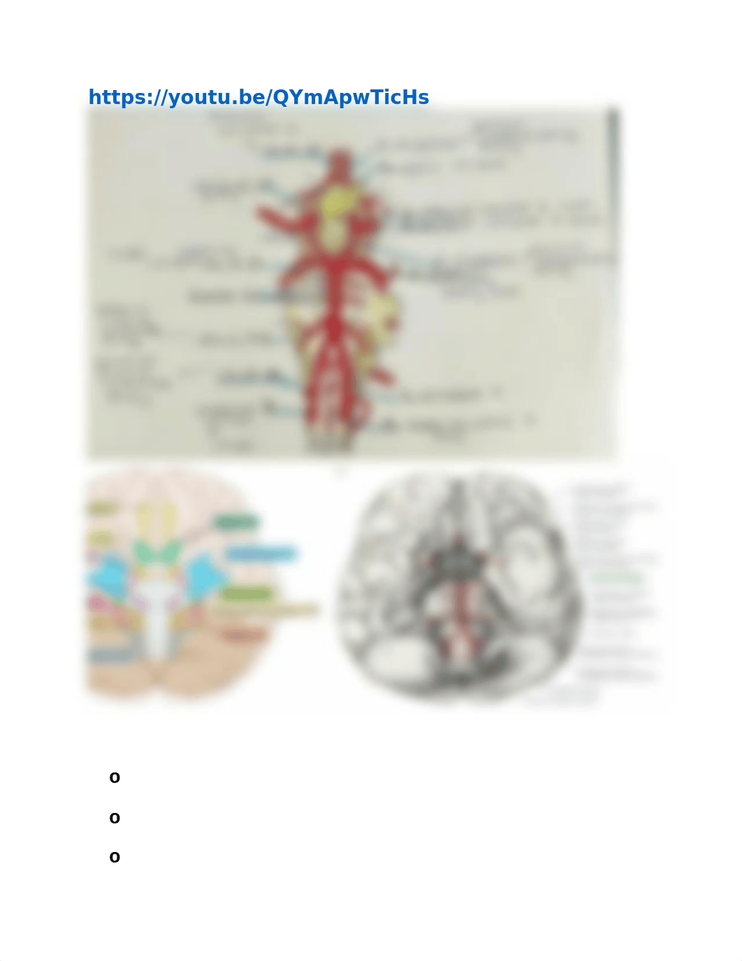 EXAM 2 Neuro rough draft.docx_dm1pnz4xqhg_page4