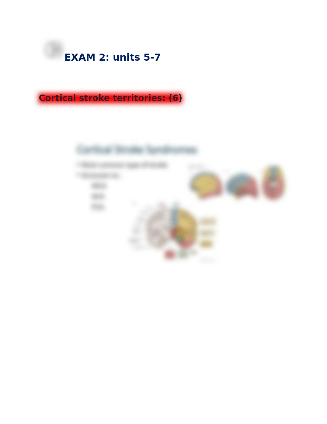 EXAM 2 Neuro rough draft.docx_dm1pnz4xqhg_page1