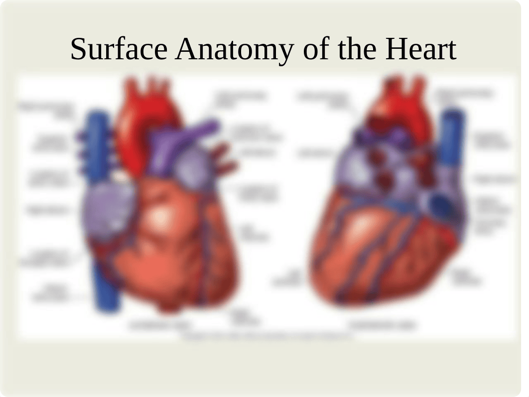 Cardiovascular Assessment_dm1qhm5yy9p_page2