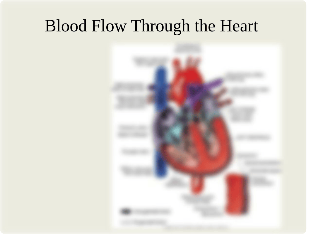 Cardiovascular Assessment_dm1qhm5yy9p_page3