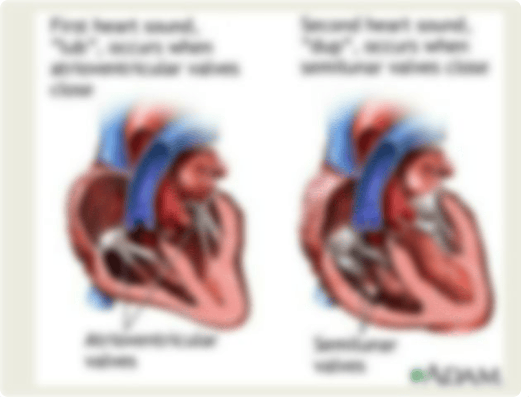 Cardiovascular Assessment_dm1qhm5yy9p_page5