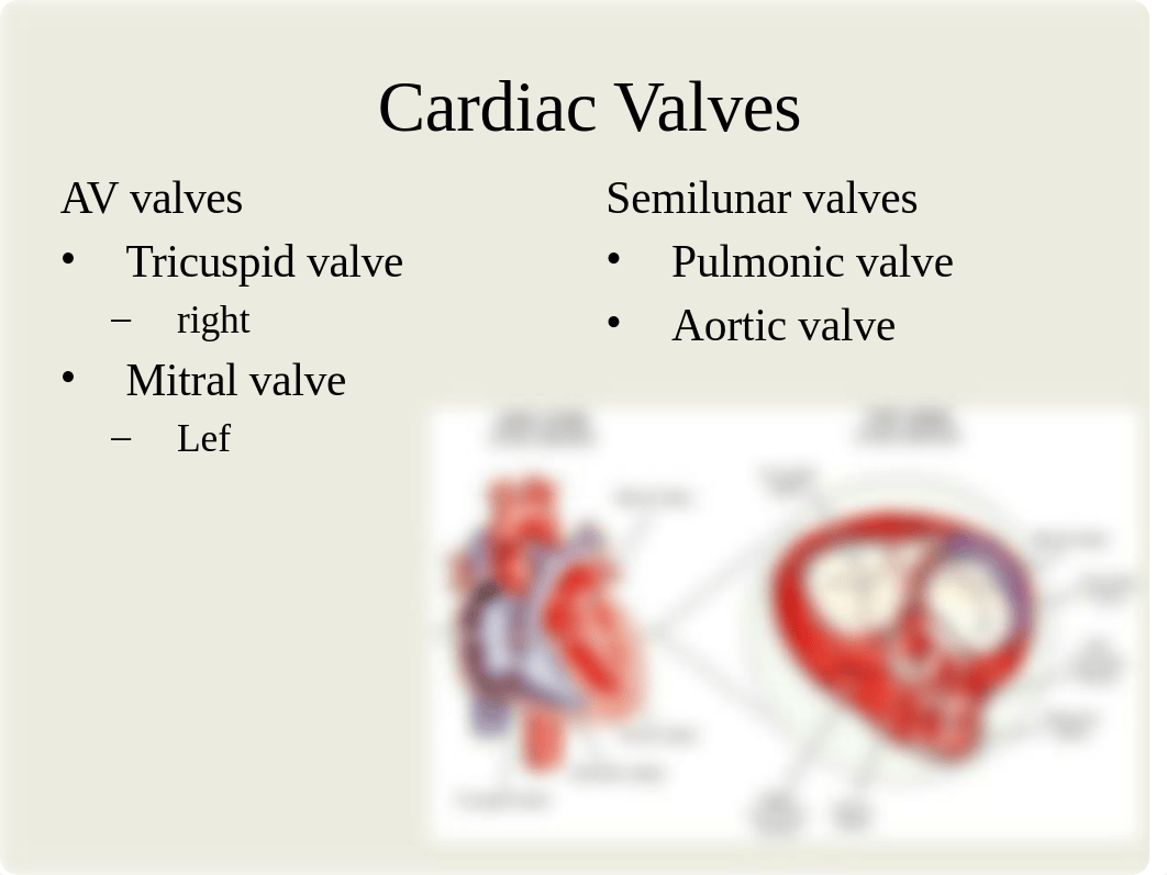 Cardiovascular Assessment_dm1qhm5yy9p_page4