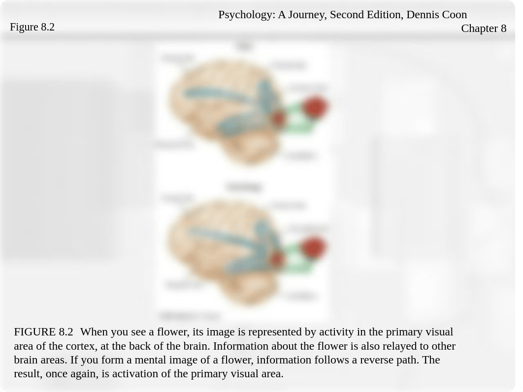 chapter8.ppt_dm21wd8rqy8_page5