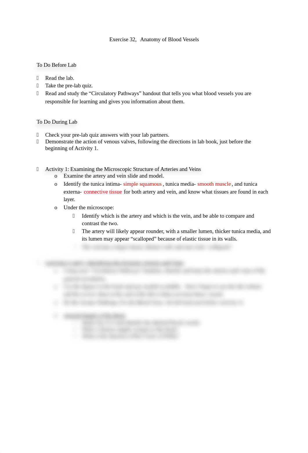 Ex 32  Anatomy of Blood Vessels (1).doc_dm2abbzzwj5_page1