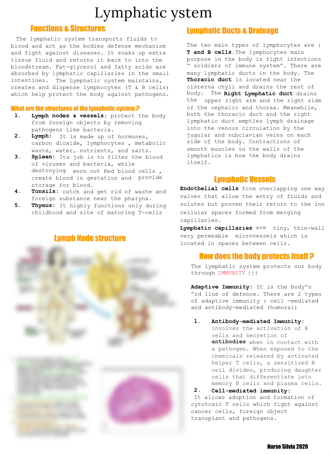 Anatomy & Physiology 1 and 2 Study Guide.pdf_dm2fp3q2yds_page2