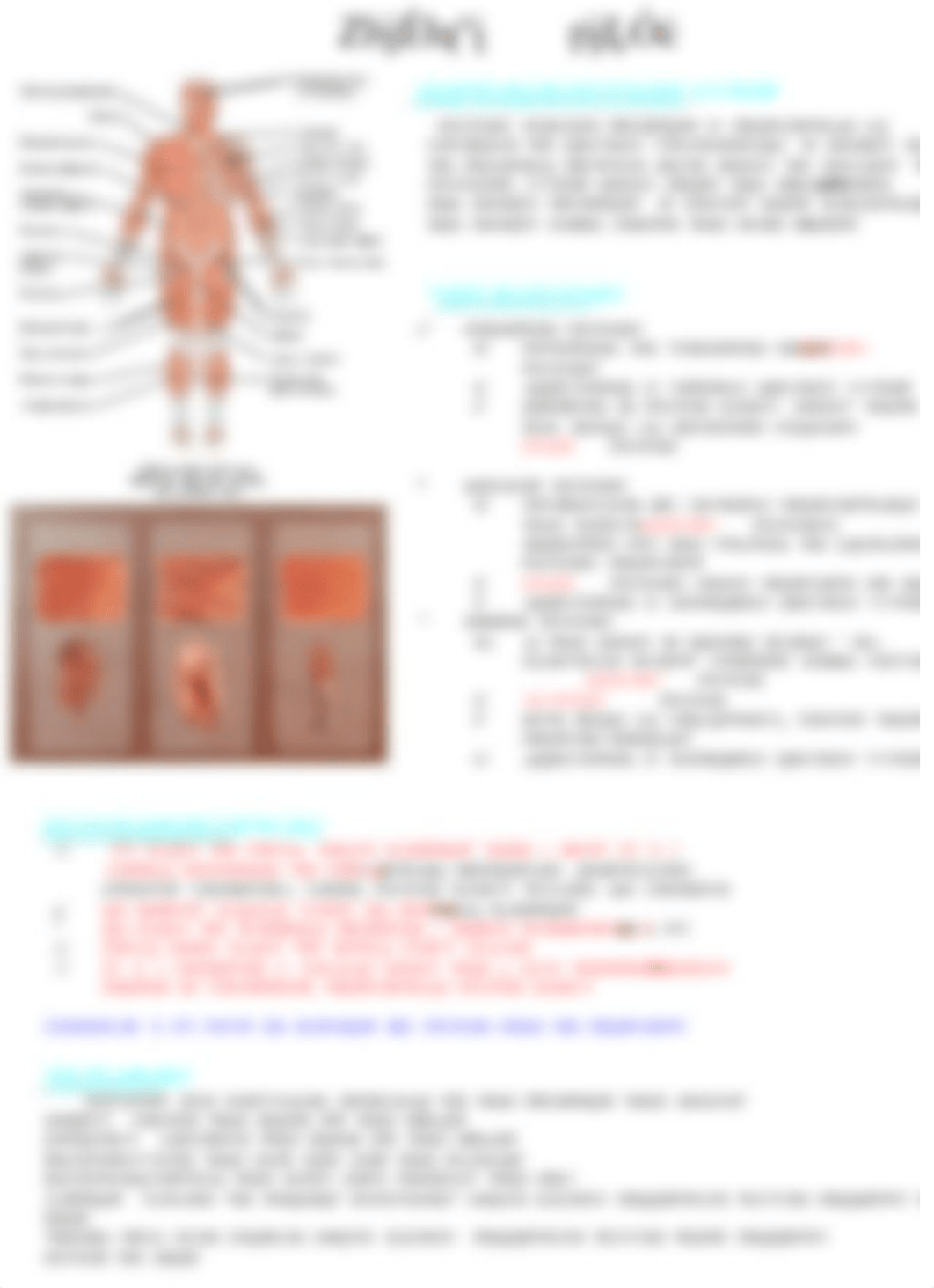 Anatomy & Physiology 1 and 2 Study Guide.pdf_dm2fp3q2yds_page4